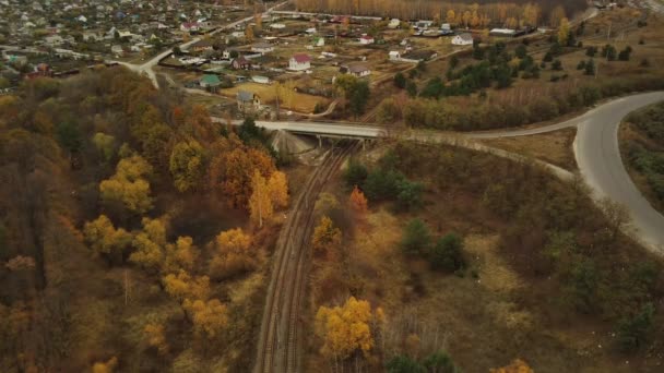 Flygfoto Godståg Ridning Landsbygden Fågelperspektiv Järnvägsstationen Nära Skogen Höstsäsongen — Stockvideo