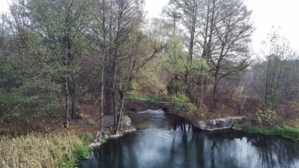 Luftaufnahme Der Schönen Landschaft Des Flusses Der Zwischen Bäumen Fließt — Stockvideo