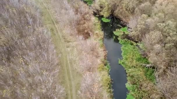 Flygfoto Över Vackra Landskapet Floden Flyter Mellan Träden Fågelperspektiv Vattenvägen — Stockvideo