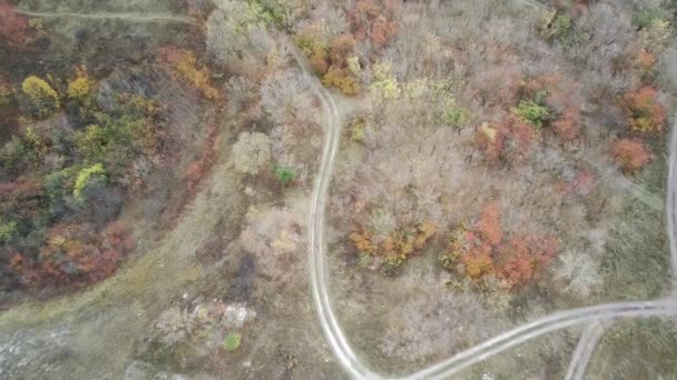 秋天树木的空中景观 — 图库视频影像