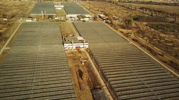 Aerial View Greenhouses Countryside Bird Eye View Glasshouses Growing Produce — Stock Video