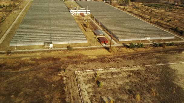 Aerial View Greenhouses Countryside Bird Eye View Glasshouses Growing Produce — Stock Video