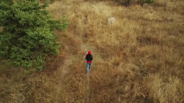 Flygfoto Kvinna Som Går Marken Med Torrt Gräs Ensam Landsbygden — Stockvideo