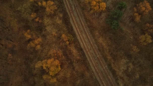 从空中俯瞰农村地区的货运火车 秋天森林附近火车站鸟瞰全景 — 图库视频影像