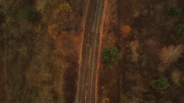 Aerial View Freight Train Riding Countryside Bird Eye View Railroad — Stock Video