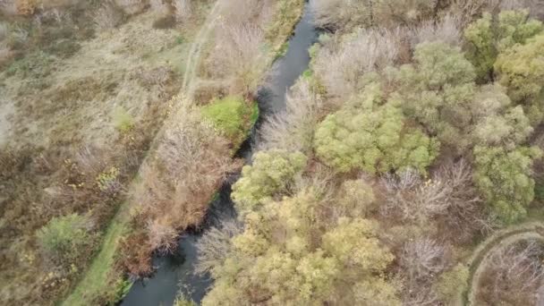 Flygfoto Över Vackra Landskapet Floden Flyter Mellan Träden Fågelperspektiv Vattenvägen — Stockvideo