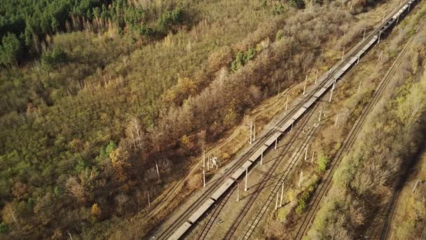 Luchtfoto Van Moderne Tram Rijden Tussen Velden Met Bomen Het — Stockvideo