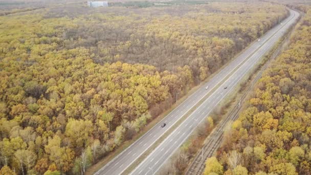 Letecký Pohled Cestu Mezi Lesy Venkově Pohled Ptačí Perspektivy Dálnici — Stock video