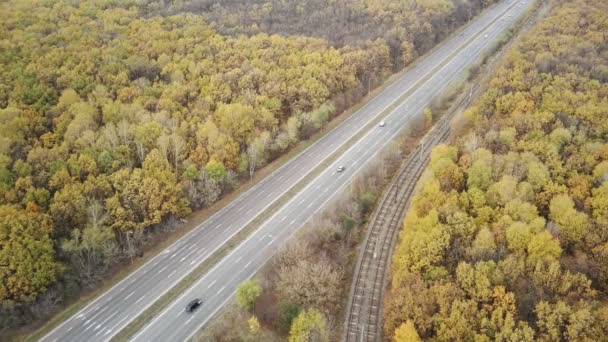 Luchtfoto Van Weg Tussen Bossen Het Platteland Bird Eye View — Stockvideo