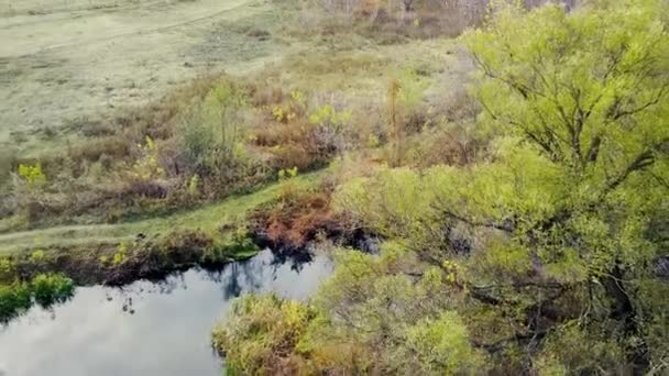 Вид Повітря Прекрасний Пейзаж Річки Тече Між Деревами Вид Птаха — стокове відео