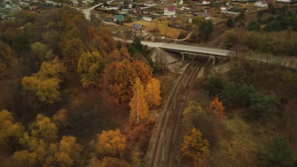 Flygfoto Godståg Ridning Landsbygden Fågelperspektiv Järnvägsstationen Nära Skogen Höstsäsongen — Stockvideo