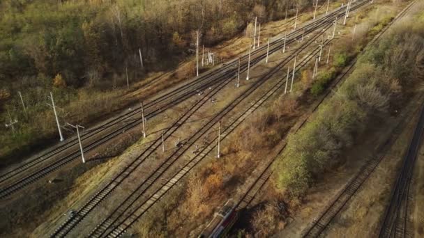 Widok Lotu Ptaka Nowoczesnego Tramwaju Jadącego Między Polami Drzewami Wsi — Wideo stockowe