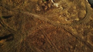 Kırsal kesimde yeşil köknar ağaçları olan bir arazinin havadan görünüşü. Sonbahar mevsiminde kuru otlar ve yemyeşil ağaçlarla kuşbakışı zemin..