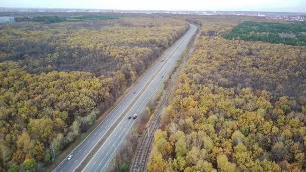 Vedere Aeriană Drumului Între Păduri Mediul Rural Bird Eye View — Videoclip de stoc