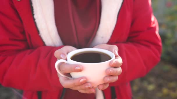 Feche Xícara Café Nas Mãos Mulher Mulher Irreconhecível Detém Caneca — Vídeo de Stock