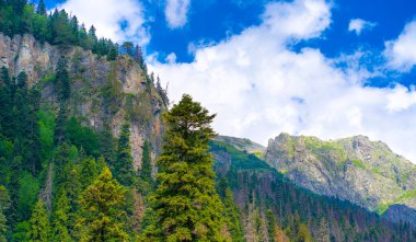 Mavi gökyüzünün altında ormanla kaplı bir dağ sırtı. Güneşli yaz gününde mavi gökyüzünün altında yeşil yemyeşil yemyeşil yapraklarla kaplı dağ yamaçlarının ve tepelerin manzarası.
