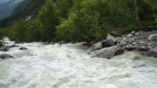Schneller Fluss nahe grünem Ufer. Schnelle saubere Strömung auf Steinen in Küstennähe mit grünen Pflanzen in der Landschaft. — Stockvideo