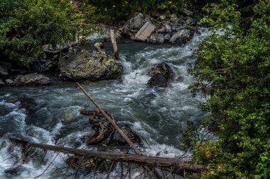 Yeşil kıyıya yakın hızlı nehir. Kırsal kesimde yeşil bitkilerle kıyıya yakın taşlarda akan hızlı ve temiz bir dere.