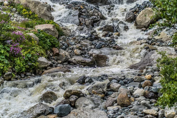 Rychlá Řeka Zeleného Břehu Rychlý Čistý Potok Tekoucí Kamenech Pobřeží — Stock fotografie
