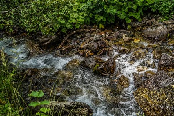 Rio Rápido Perto Costa Verde Fluxo Limpo Rápido Que Flui — Fotografia de Stock