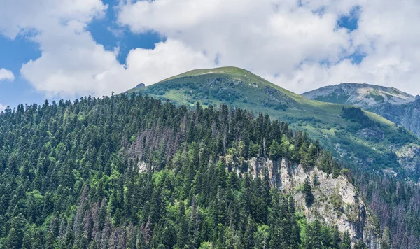 Mavi gökyüzünün altında ormanla kaplı bir dağ sırtı. Güneşli yaz gününde mavi gökyüzünün altında yeşil yemyeşil yemyeşil yapraklarla kaplı dağ yamaçlarının ve tepelerin manzarası.