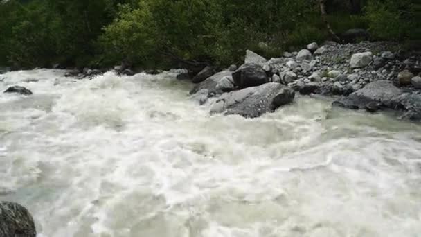 Río Rápido Cerca Orilla Verde Rápida Corriente Limpia Que Fluye — Vídeo de stock