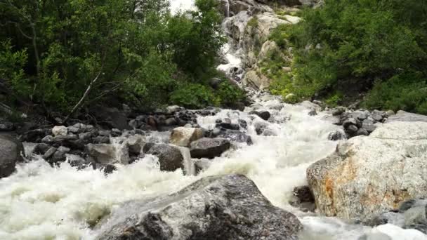 Río Rápido Cerca Orilla Verde Rápida Corriente Limpia Que Fluye — Vídeo de stock