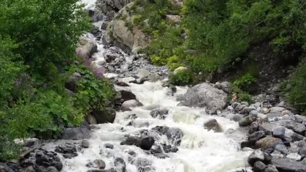 Fiume Veloce Vicino Alla Riva Verde Rapido Flusso Pulito Che — Video Stock