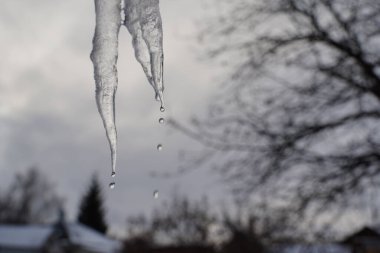 Kışın sokağın ortasında eriyen buz sarkıtını kapatın. Donmuş buz sarkıtı bulutlu havada bahçede