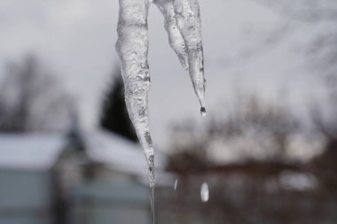 Kışın sokağın ortasında eriyen buz sarkıtını kapatın. Donmuş buz sarkıtı bulutlu havada bahçede