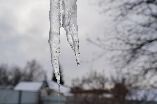 Großaufnahme Des Großen Schmelzenden Eiszapfens Auf Der Straße Winter Gefrorene — Stockfoto