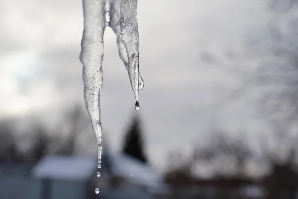 Großaufnahme Des Großen Schmelzenden Eiszapfens Auf Der Straße Winter Gefrorene — Stockfoto