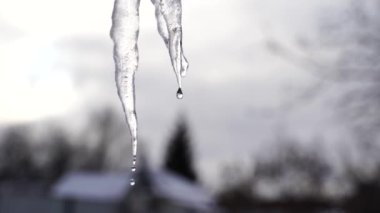 Kışın sokağın ortasında eriyen buz sarkıtını kapatın. Donmuş buz sarkıtı bulutlu havada bahçede.