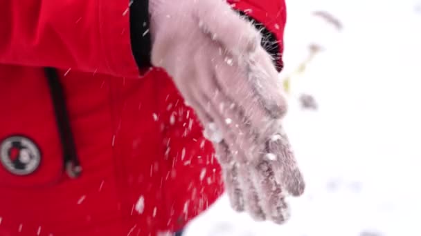 手袋の雪を振り払う女性の手を閉じる 冬の路上で雪から手袋を掃除している認識できない女性 — ストック動画