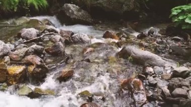 Yeşil kıyıya yakın hızlı nehir. Kırsal kesimde yeşil bitkilerle kıyıya yakın taşlarda akan hızlı ve temiz bir dere..