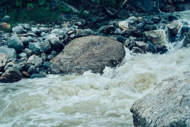 Kayaların üzerinde akan temiz, hızlı akıntıyı kapat. Dağ nehri aşağı akar ve su sıçrar.