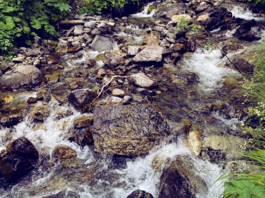 Kayaların üzerinde akan temiz, hızlı akıntıyı kapat. Dağ nehri aşağı akar ve su sıçrar.
