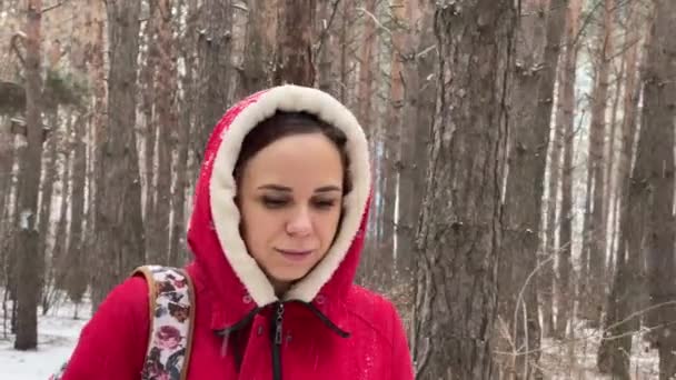 Aproape Femeie Tânără Glugă Roșie Jachetă Mergând Pădurea Iarnă Destul — Videoclip de stoc