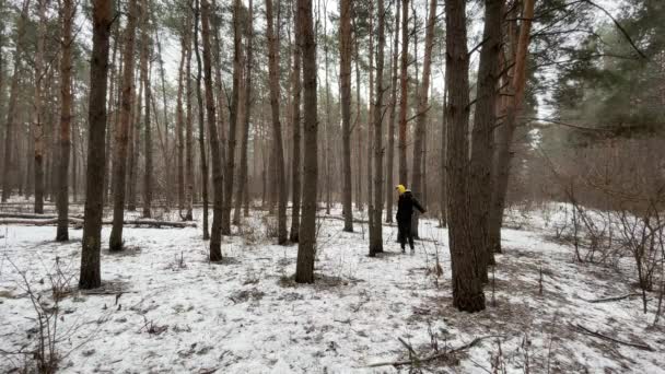 穿着黄色头巾和黑色夹克的年轻人在冬天的森林里散步 成年男子环顾四周 站在雪地里 — 图库视频影像