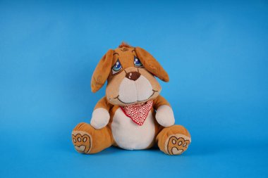 Şirin oyuncak köpeciğine yaklaş. Mavi arka planda yumuşak peluş oyuncak