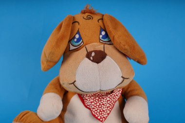 Şirin oyuncak köpeciğine yaklaş. Mavi arka planda yumuşak peluş oyuncak