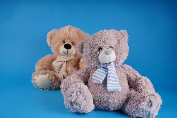 Close up of cute teddy bears. Soft plush toys on blue background