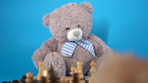 Close up de ursos de pelúcia com peças de xadrez no tabuleiro de xadrez. Brinquedos macios de pelúcia jogando xadrez no fundo azul. — Vídeo de Stock