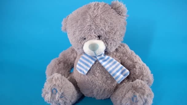 귀여운 곰 인형을 클로즈업 해. 파란색 배경에 있는 부드러운 연보라색 장난감. — 비디오
