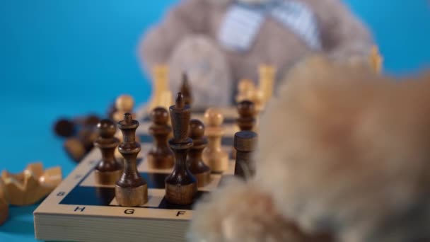 Närbild av nallebjörnar med schackpjäser på schackbrädet. Mjuka plysch leksaker spelar schack på blå bakgrund. — Stockvideo