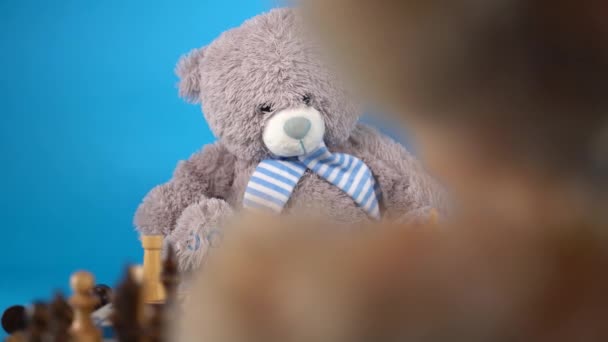 Close-up van teddyberen met schaakstukken op schaakbord. Zacht pluche speelgoed schaken op blauwe achtergrond. — Stockvideo