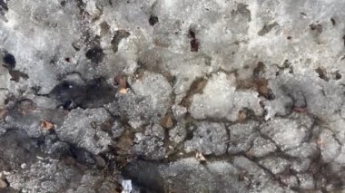 İlkbaharın başlarında eriyen karı kapat. Kirli ve sulu hava kavramı.