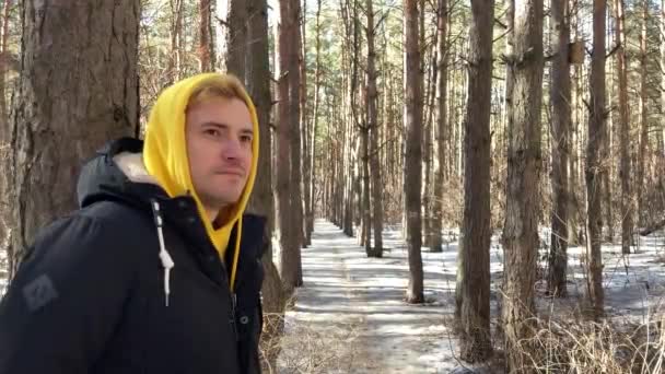 一个在森林里散步的年轻人的画像 早春的时候 穿着黄色连帽衫和黑色夹克的帅哥靠在树上摆姿势 — 图库视频影像