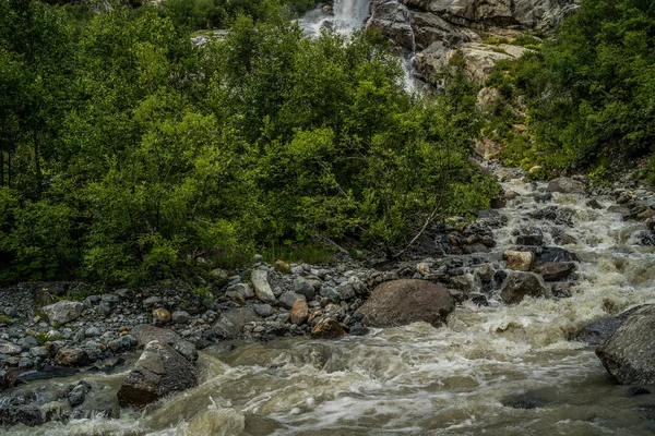 Rivière Rapide Près Rivage Vert Rapide Ruisseau Propre Coulant Sur — Photo