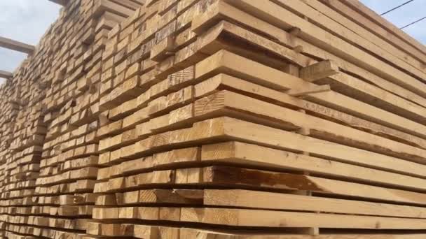 Dřevěné Desky Dřevo Průmyslové Dřevo Dřevo Dřevo Borového Dřeva Hromada — Stock video
